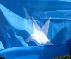 пазл Флаг Сомали